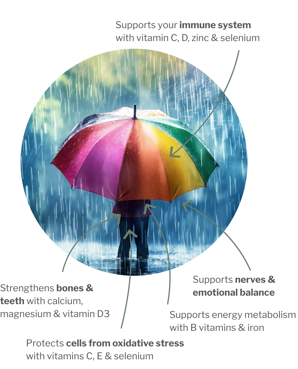 Usage of MultiPLUS – 24 micronutrients for your health