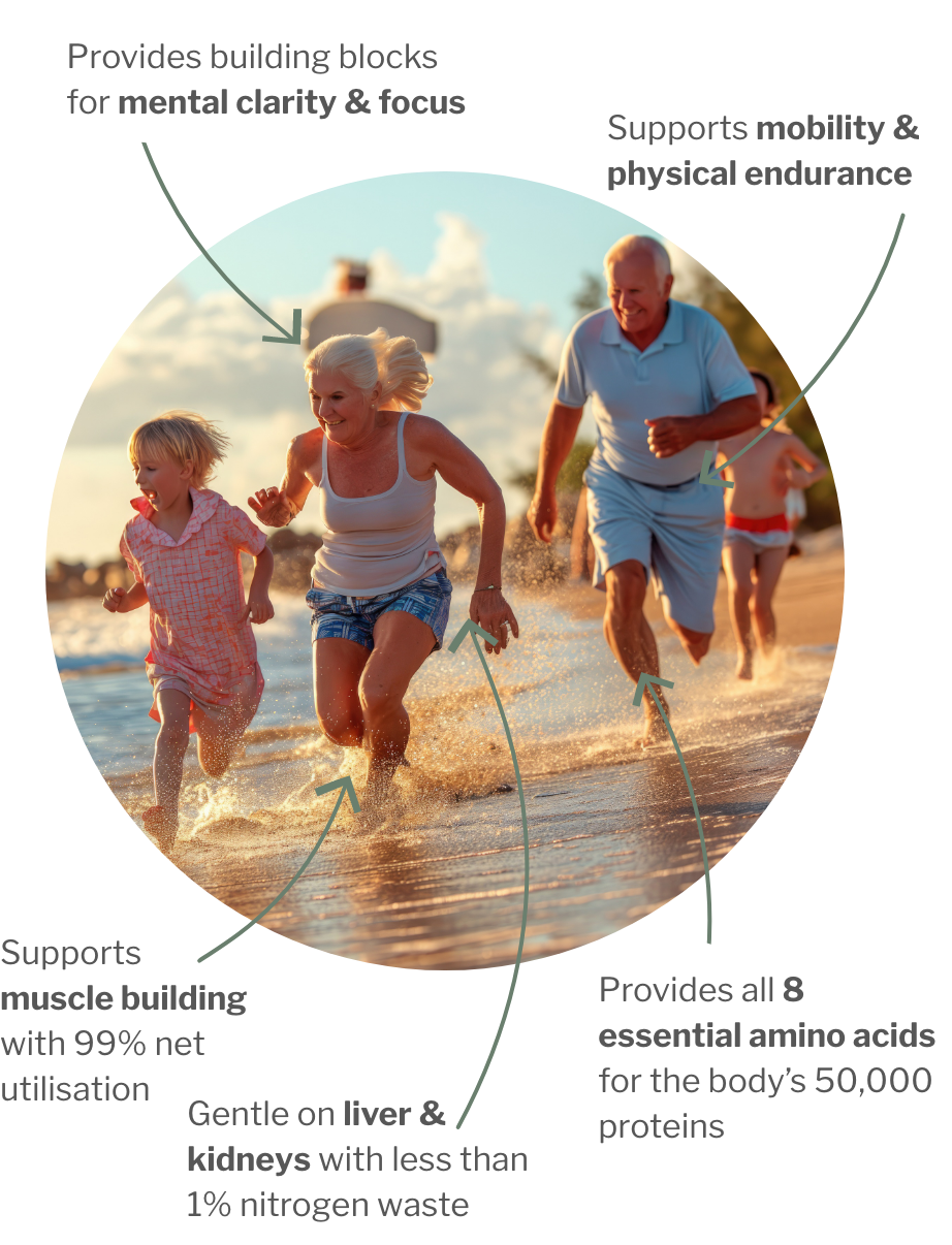 Usage of MyAMINO – 8 essential amino acids for pregnant women, seniors, children, teenager, athletes, people with overweight, healty and sick people