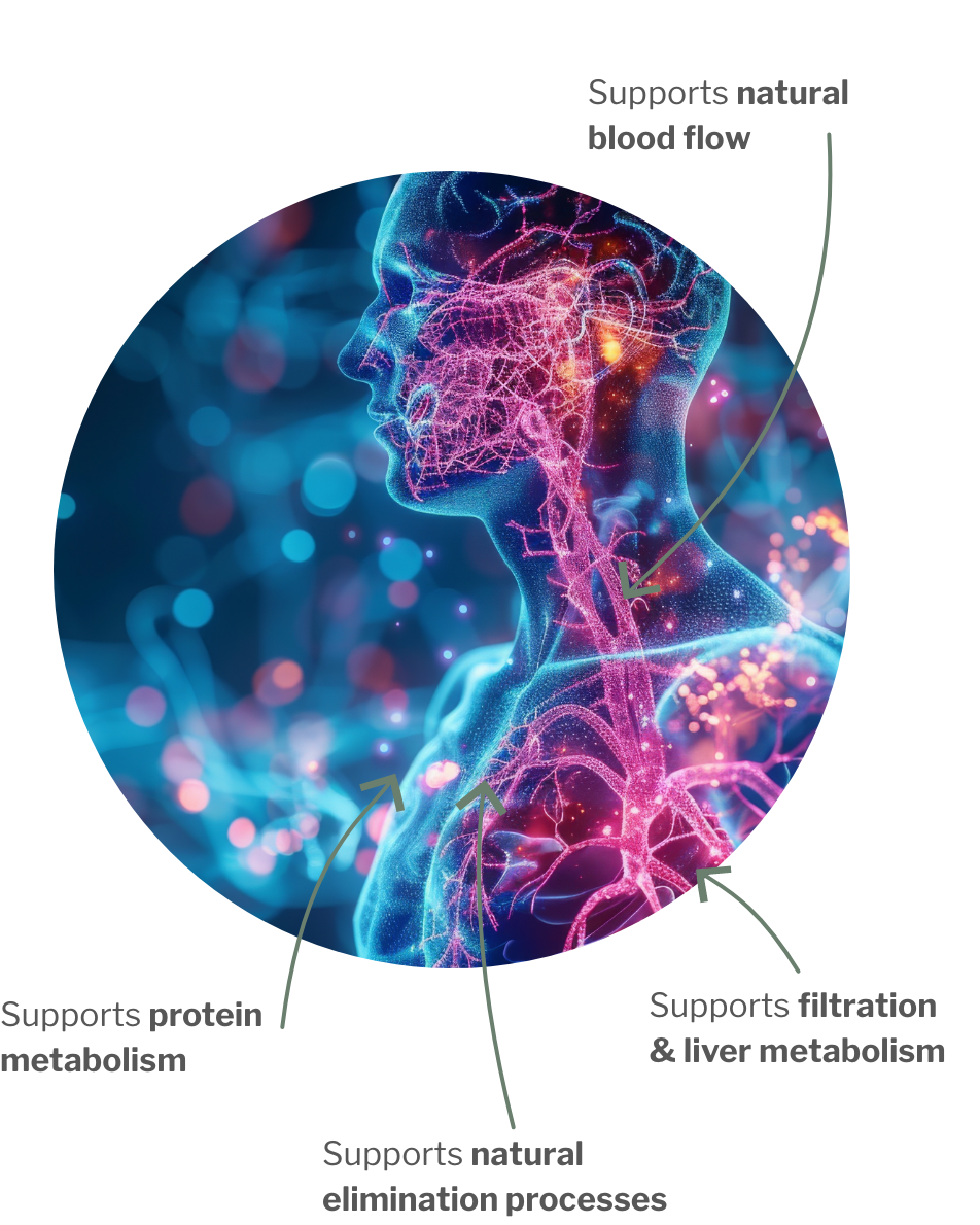 Usage of NattoZYM – Enzyme Nattokinase with milk thistle for blood pressure
