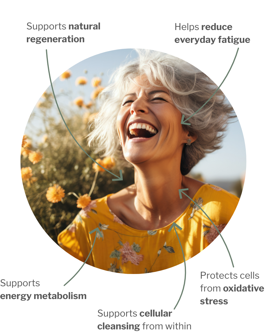 Usage of Recovery Detox – For natural regeneration & inner ease from within