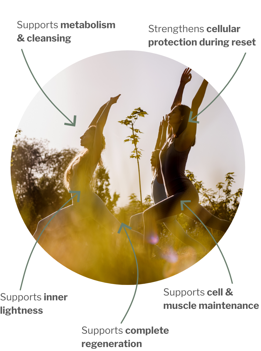 Usage of Regeneration & Rebuild Detox – The Power Reset with Cell Protection & Powerful Renewal