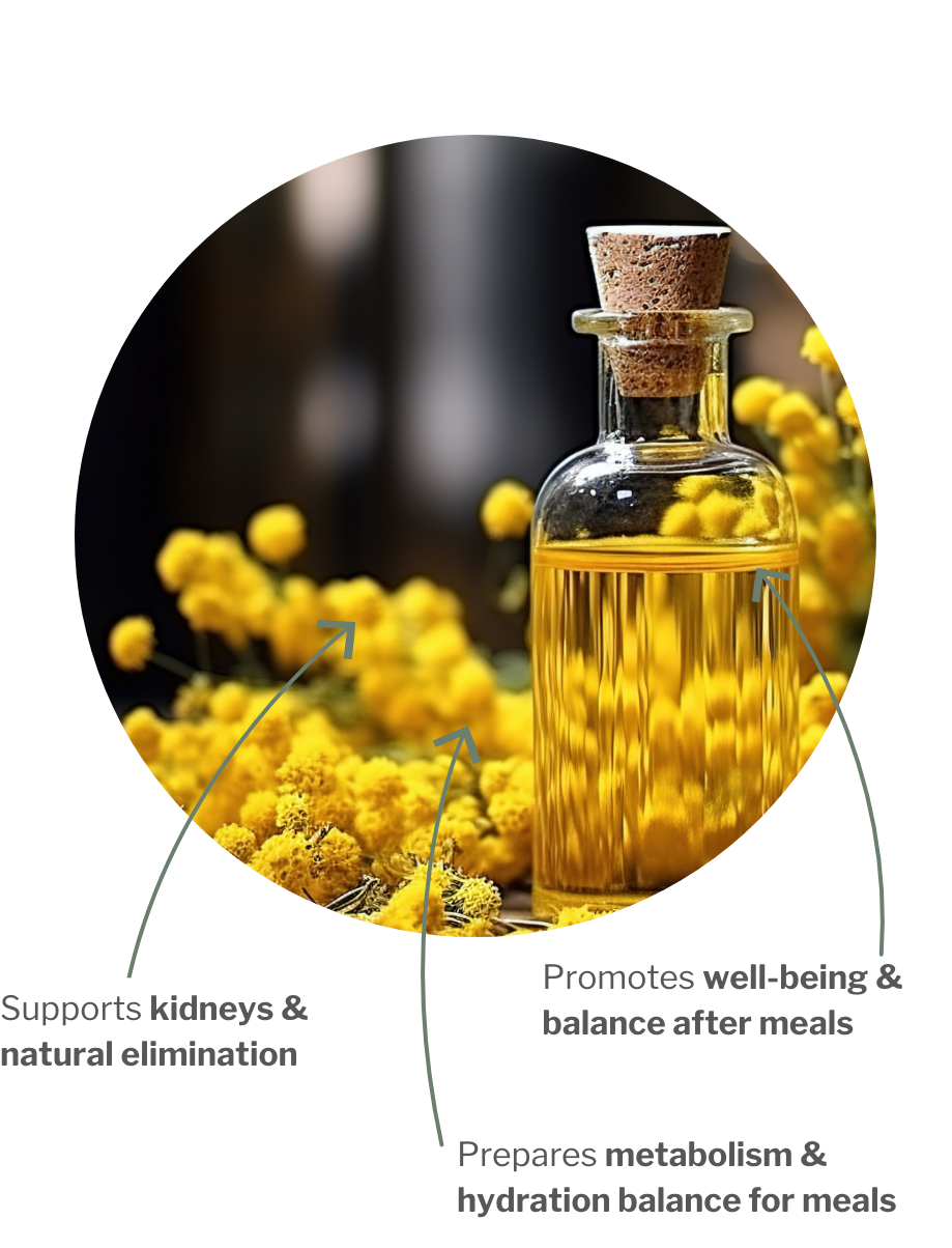 Usage of RenaCHI – Bitter herbs vor kidneys