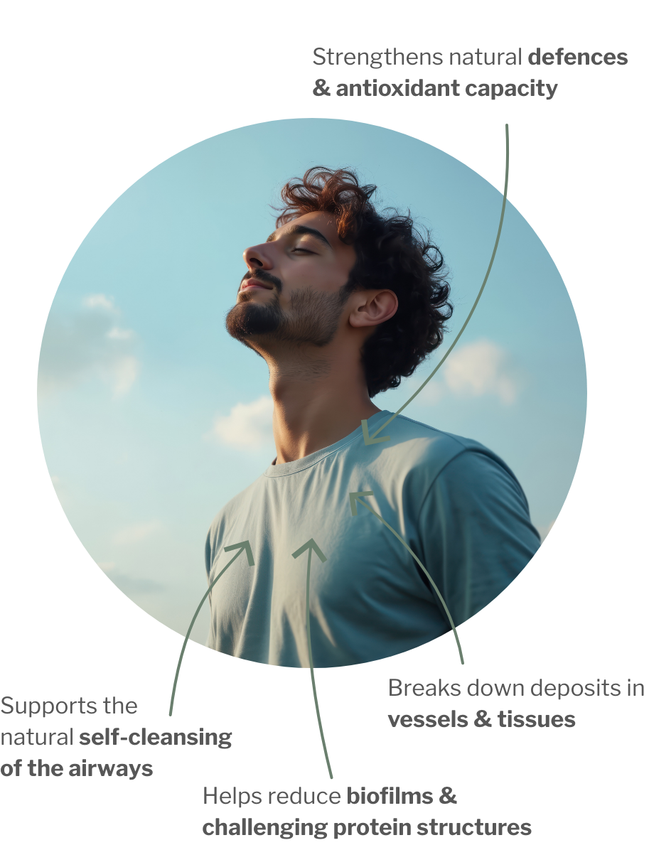 Usage of SerraZYM – Natural Enzyme product for lungs with cats claw