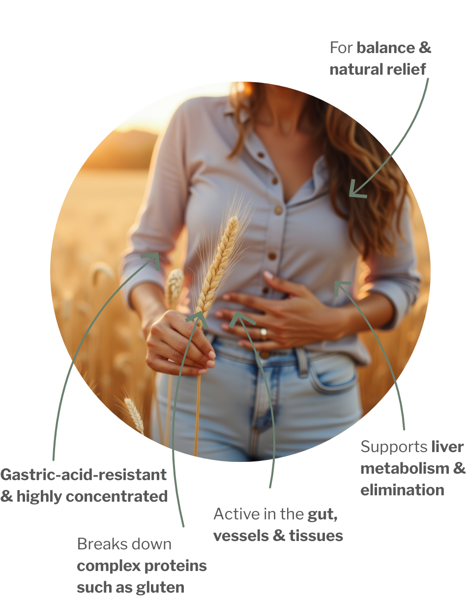 Usage of SpikaZYM – Natural Enzyme product for your gut and glutenfree nutrition