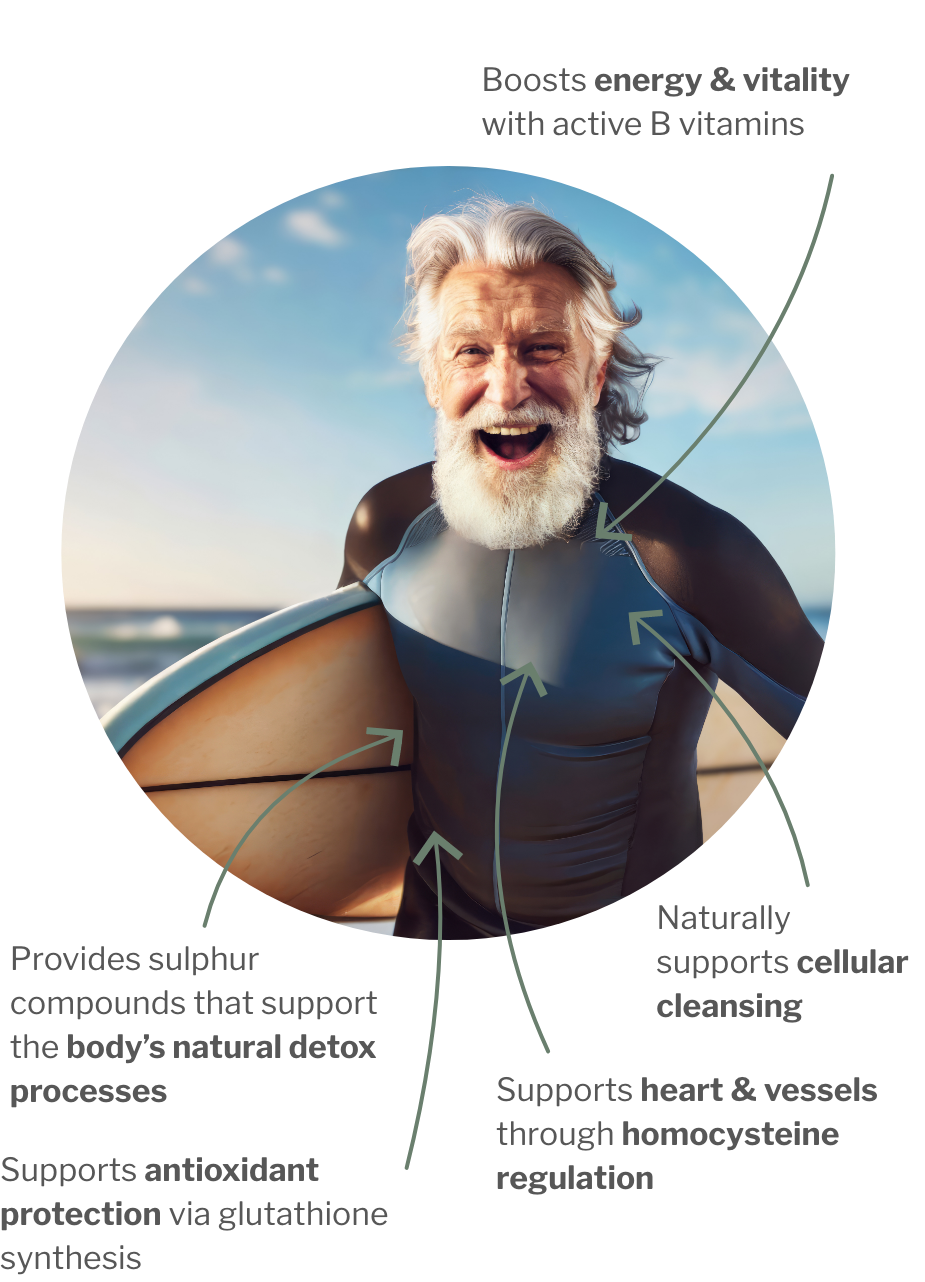 Usage of SulfoCLEAN® – B vitamines with organic sulfur (MSM) for internal an cellular cleansing