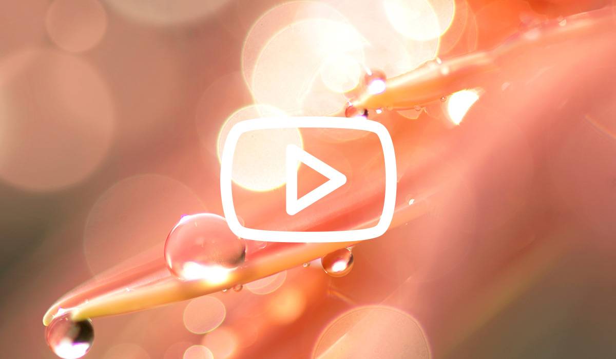 Glutathion: ein kleines Wunder