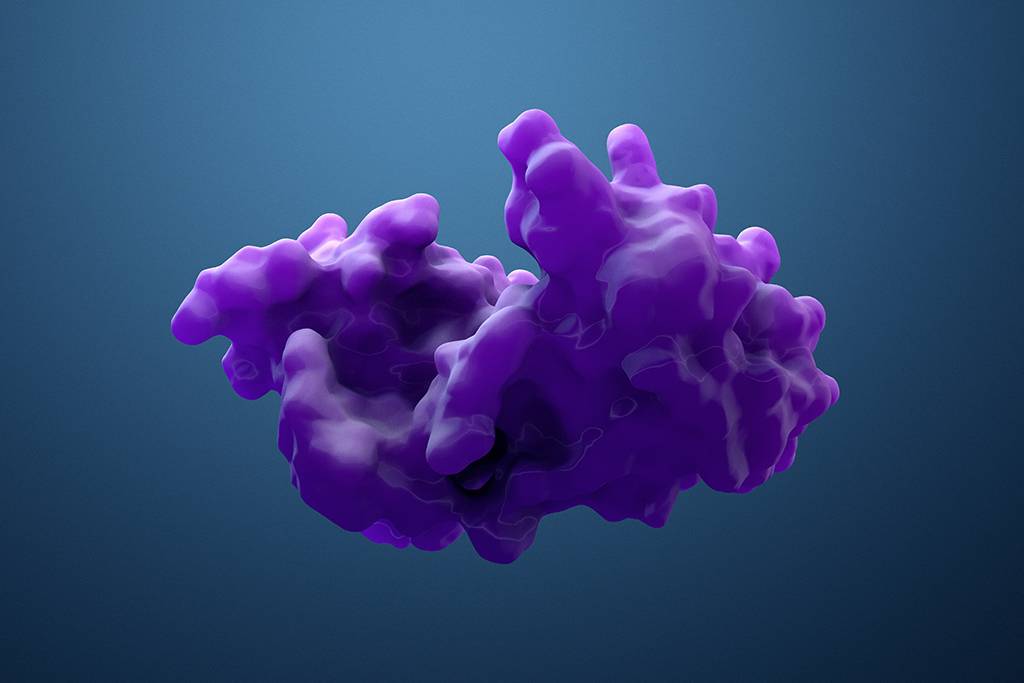 Was machen proteolytische Enzyme?