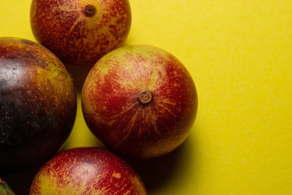 Camu Camu – die kleine Vitamin C-Bombe aus Südamerika