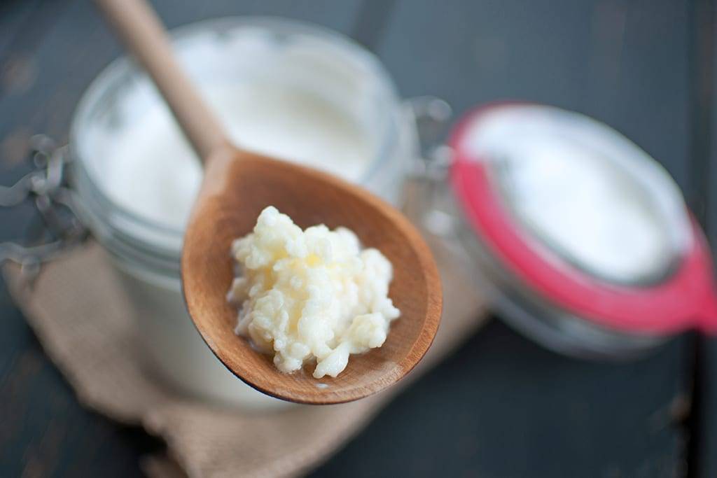 Fermentieren für eine gesunde Darmflora