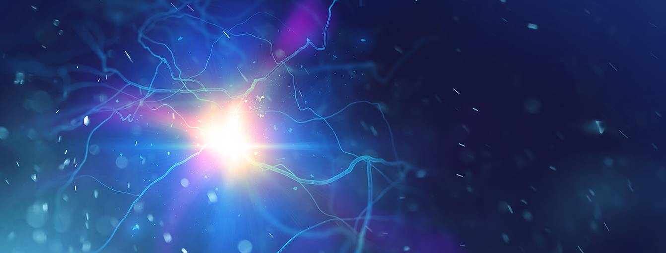 Gehirn – Konzentration und Leistungsfähigkeit steigern