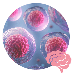 Antioxidantien bei oxidativem Stress