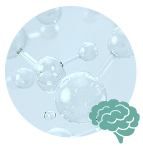 Aminosäuren und Proteine für das Gehirn