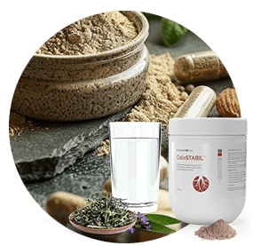 Präbiotika – Ballaststoffe und Futter für Darmbakterien