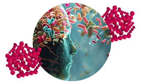 Darm-Hirn-Achse und das Mikrobiom