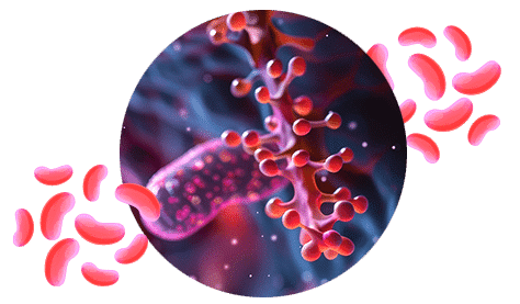 Einfluss des Mikrobioms auf die Hormone