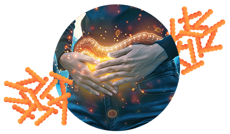 Mikrobiom und der Einfluss auf das Immunsystem