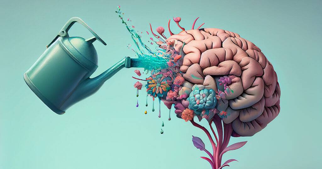 Die Zirbeldrüse – schillernder Taktgeber der inneren Uhr