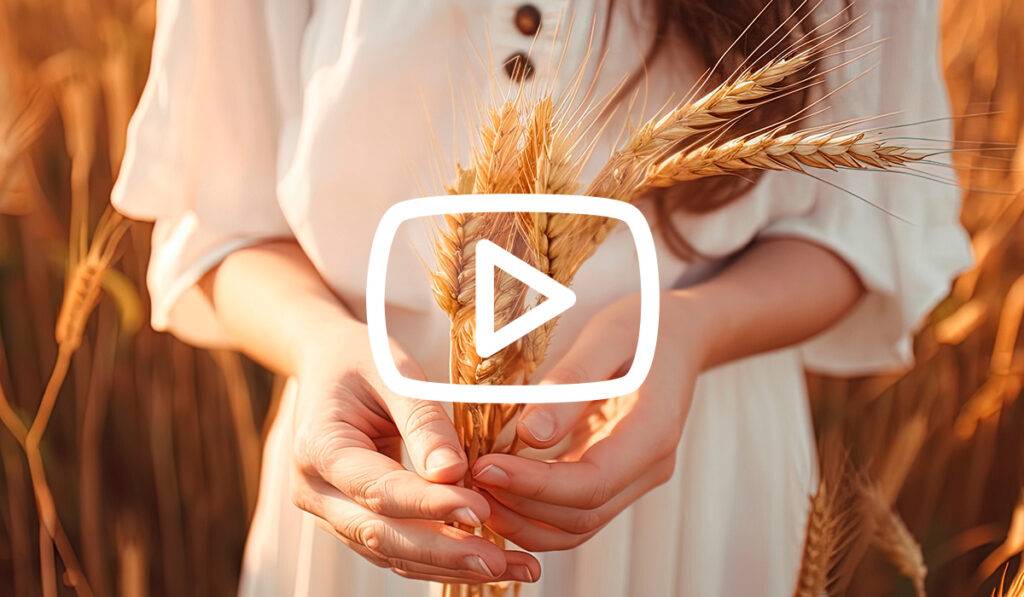 Die Gluten-Prolin-Zöliakie