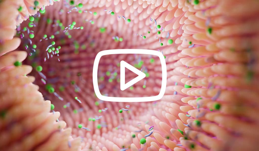 Unser Mikrobiom: vom Freund zum Feind