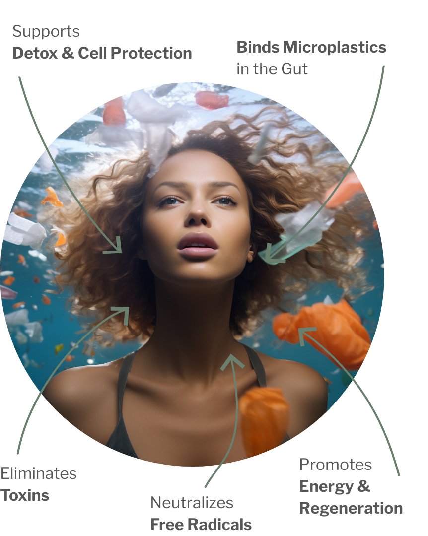 Usage of Microplastic Detox Complex – Microplastic Detox Complex