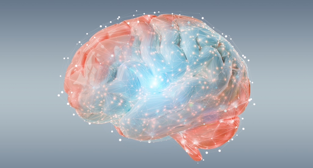 3D translucent human brain illustration with neural network connections and glowing synapse points, anatomy and nutrients theme